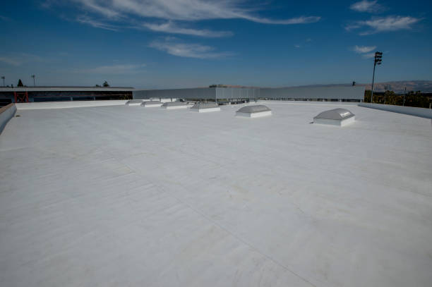 Best Metal Roofing Installation  in Union City, NJ
